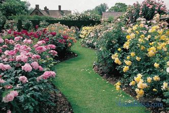 Jardín inglés - diez principios básicos de su ordenación.