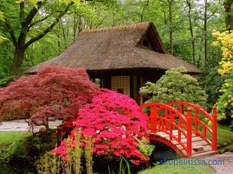 Jardín japonés - principios y reglas para crear estilo.