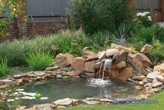 Cómo hacer un estanque en el país: un estanque decorativo artificial en el jardín y en el sitio, hermoso diseño del estanque, foto