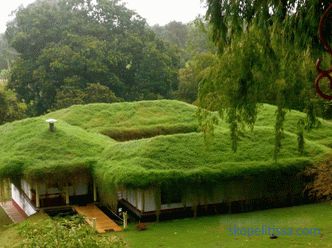 Las razones de la popularidad de los jardines de gran altura, los tipos de jardines de techo