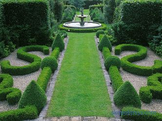 Fotos y recomendaciones básicas para crear un hermoso jardín.