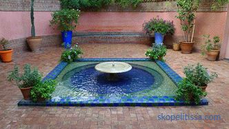 Fuentes para un estanque en el país, cuál elegir y comprar una fuente para un estanque de jardín decorativo en Moscú