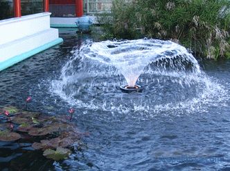 Fuentes para un estanque en el país, cuál elegir y comprar una fuente para un estanque de jardín decorativo en Moscú