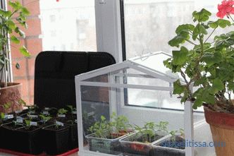 Mini invernadero de policarbonato, mini invernadero para jardín, foto y video.