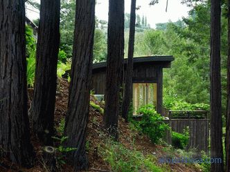 Dos mini-casas de campo como una extensión de la casa en Mill Valley, California