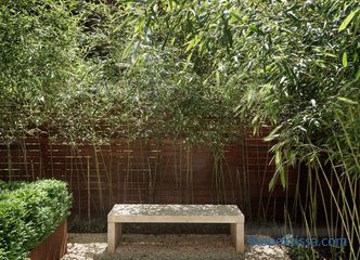 Jardín en el estilo de minimalismo, los principios e ideas de crear un paisaje minimalista, soluciones con estilo fotográfico.